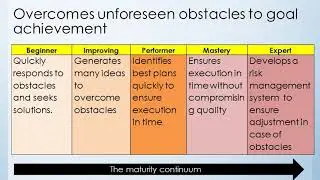 Mini Lesson: Execution Excellence (Managerial Competency Overview)