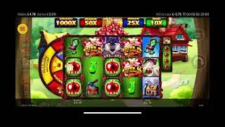 Wolf It Up Again Continues to PAY!!!