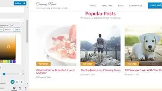 How to configure blog posts on homepage ?