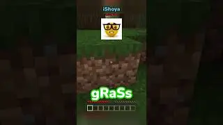 Minecraft, But If I See A Block Of Dirt The Video Ends