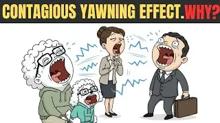 Why Is Yawning Contagious? (The Creepy Truth About Your Personality)