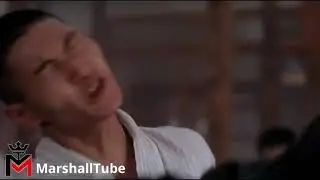 Jet Li vs Donnie Yen   Wushu vs Wing Chun   Who is The Best!