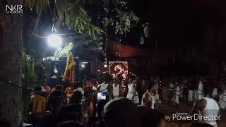 പള്ളത്തുമുറി ക്ഷേത്രത്തിലെ തിരുമുടി എഴുന്നള്ളത്തും കുത്തിയോട്ടവും 2018 | Pallthumuri Temple Festival