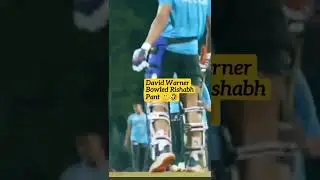 David Warner Bowled Rishabh Pant 🤣😬. #rishabhpant #davidwarner #ipl2022