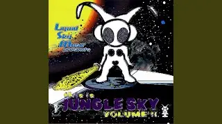 Dis Soun'-187 Jungle Dub