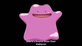 Ditto Money | #DITTOVideoContest $DITTO | BSC elastic supply token | Triple Rewards Earning Token |