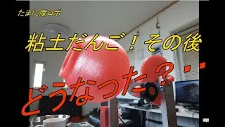 粘土団子！その後