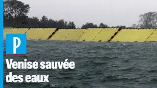 Venise reste au sec grâce à ses nouvelles digues