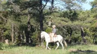Vicente Lara y su Banda Rancho Nuevo 