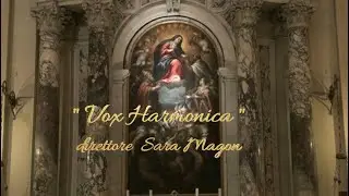 Vox Harmonica - Duomo di Rovigo - 13/10/2025