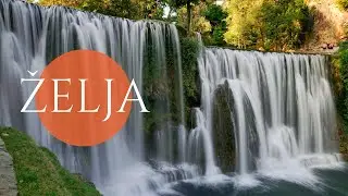 Vaca i Prijatelji - Želja
