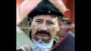 Sera la Pava ? o Los Babalaos !!