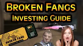 CS GO Investments: Operation Broken Fang Investing Guide!