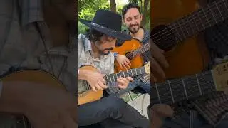 Solos de viola