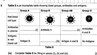 2024 Biology paper 2(internal)- Blood Groups/Genetics/Genetic diagrams exam revision