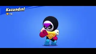 100 kupa meeble yapıyorum