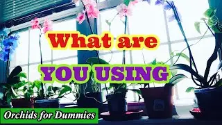 Orchid Fertilizer :  Urea Nitrogen Vs. Urea Free