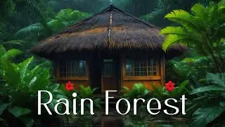 Rain Forest - Deep Relaxing Ambient Music - Soothing Ambient Meditation - Rain Sounds For Sleeping