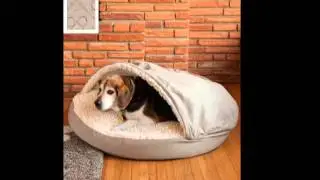 Snoozer SN 87739 Luxury Orthopedic Cozy Cave XL Amulet Shell
