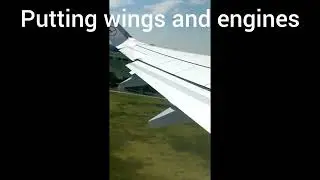 Plane Hatchables
