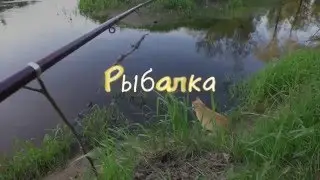 Рыбалка на Гауе