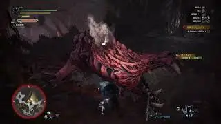 新米ソロハンターの憂鬱#2【モンスターハンターワールド】【モンハン】
