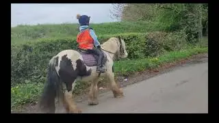 FIRST HACK ON DOLLY! || full video is uploaded! #horse #equestrian #pony #hacking