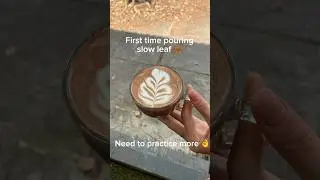 Practicing slow leaf 🍃#latteart #chocolate #practice #homebarista #leaf #drink #trendingshorts