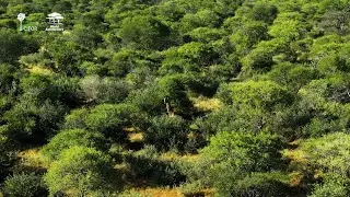 Regional Centres of Excellence for Biodiversity and Forests