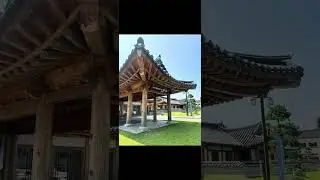동해 여행기 🚅 Travel Donghae