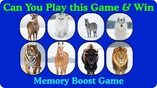 Memory Game Challenge:Test your Brain's Power! #memory #boost #game #quiz #animals #images #videos 