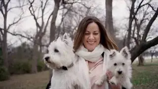 [Top 7] best wet dog food  Reviews 2020