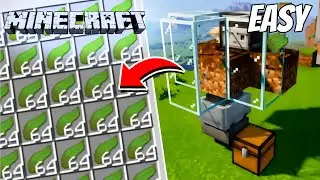 How to Make Easiest Kelp Farm in Minecraft PE | Snody Insaan