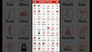 Name of body parts with picture | Body parts #trending #shorts