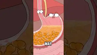 Why does eating too much lead to esophageal cancer?#animation #funny #shorts