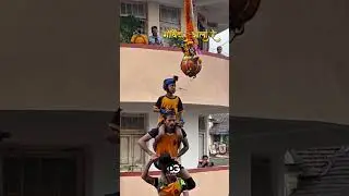 गोविंदा आला रे ! 💗🦚