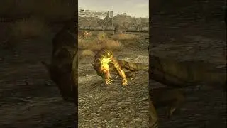 Из-за своей походки этот геккон выглядит подавленным. #fallout #newvegas