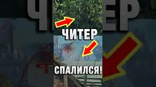A CHEATER GOT BURNED WHEN #wotpatrol #wot #worldoftanks