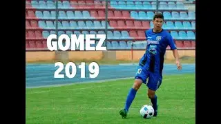 MARCO GOMEZ - Passing & Skills - Zulia FC - 2019
