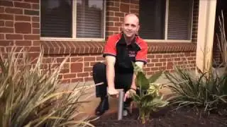 Perth Pest Control Telethon & Termiwatch