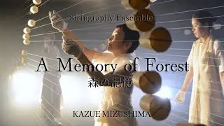 Original Works of the Stringraphy &ldquo;A Memory of Forest