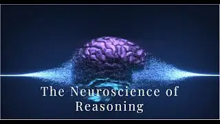 The Fascinating Neuroscience Behind Reasoning