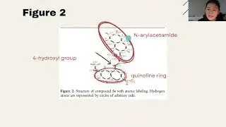 Борьба с Mycobacterium tuberculosis с помощью 2-(хинолин-4-илокси)ацетамидов. Интересное новое ис...