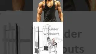 Ultimate Shoulder Workout#shorts #shortsfeed #shoulderworkout  #fitnessmotivation#workout#shoulder