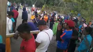 🎸🎶ALABANSA CIERVO DE JEHOVA🎶🎸