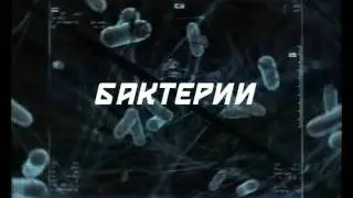 blue magic ball волшебный шарик для стрирки