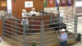 Texas Angus Association Spring Spectacular Sale, Salado, TX May 13, 2023