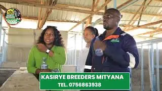Visit Kasirye breeders Mityana for trainings in modern dairy farming techniques 