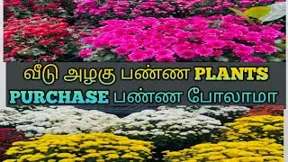 வீடு அழகா இருக்கணுமுன்னா  அழகிய செடிகள் இருக்கணும்  ⁉️ PLANT PURCHASING ⁉️🌴🌴🌹