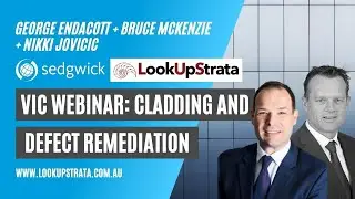 VIC: Cladding and Defect Remediation | LOOKUPSTRATA